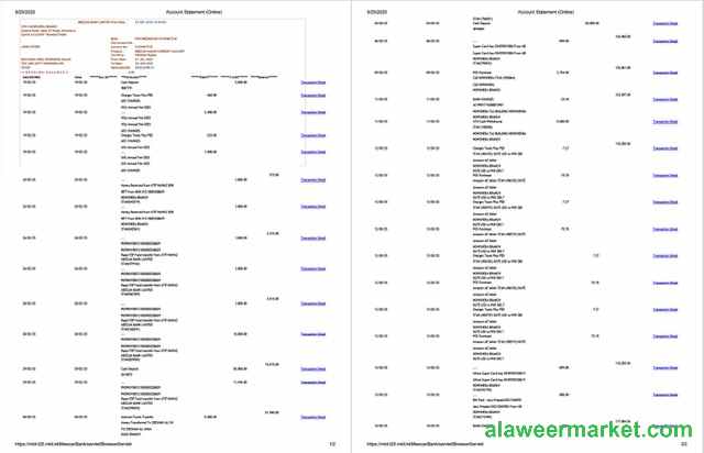 Pakistan Meezan Bank Limited account statement Word and PDF template, 2 pages